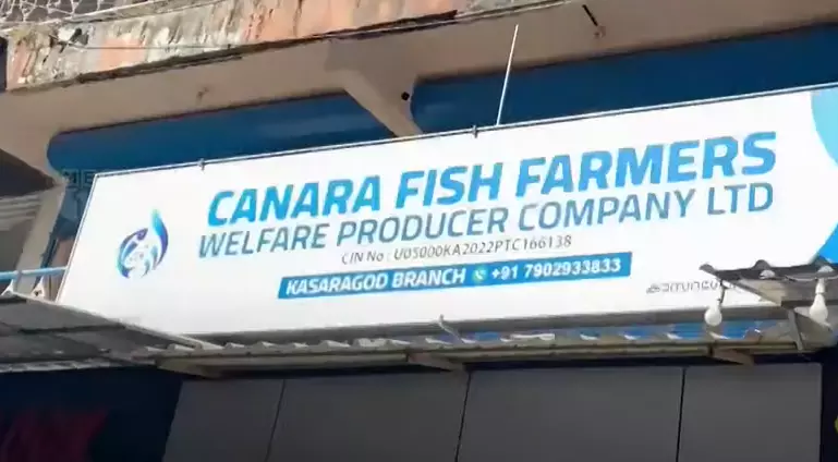canara fish farmers canara fish farmers