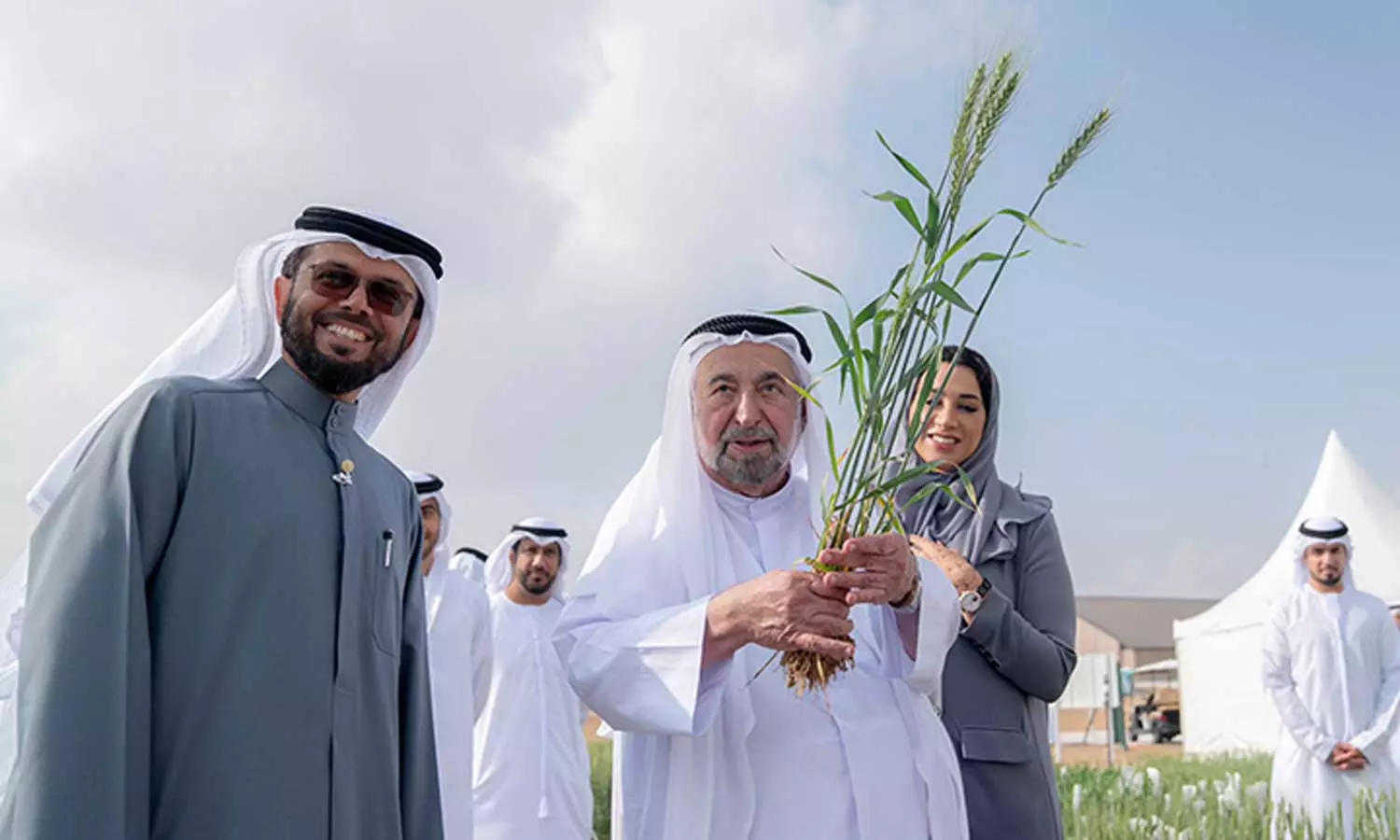 ഷാർജ ഗോതമ്പ് പാടത്ത് വീണ്ടും വിളവെടുപ്പ്