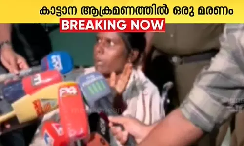 Mani (Suresh Kumar), an auto driver, is killed by an elephant in Munnar