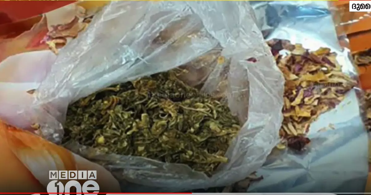 26 kg of ganja seized in Dubai 26 kg of ganja seized in Dubai