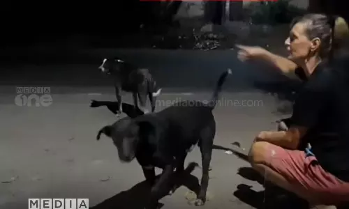 Thiruvananthapuram,Stray dogs ,latest malayalam news,തിരുവനന്തപുരം,തെരുവ് നായ്ക്കള്‍