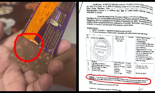 Cadbury Dairy Milk chocolates