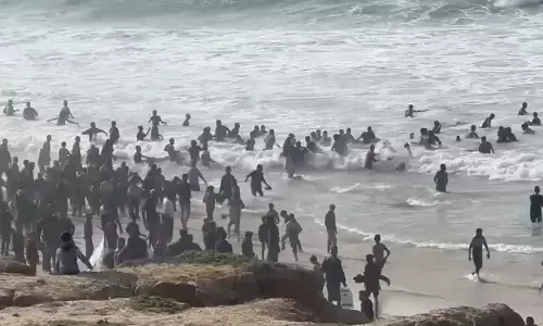 gaza sea food aid