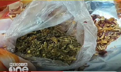 26 kg of ganja seized in Dubai