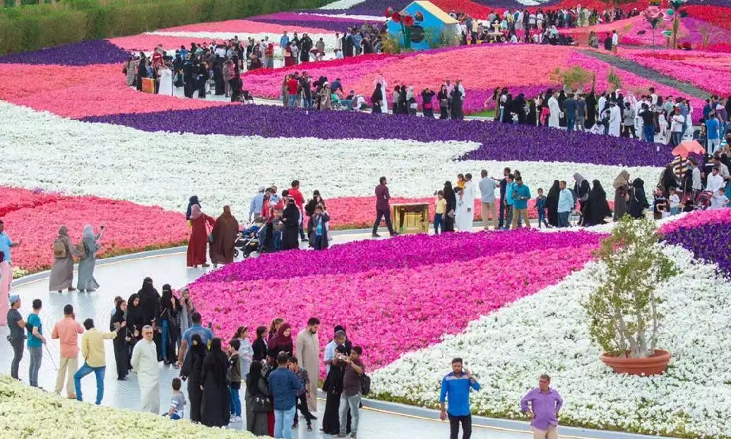യാമ്പു പുഷ്പമേള ആസ്വദിക്കാൻ ജനപ്രവാഹം