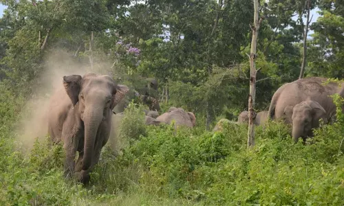 Kerala government has declared human-wildlife conflict as a state specific disaster.