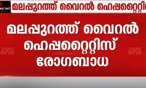 മലപ്പുറത്ത് ഹെപ്പറ്റൈറ്റിസ് രോഗബാധ; രണ്ട് മരണം