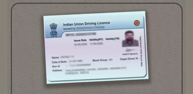 driving licence driving licence