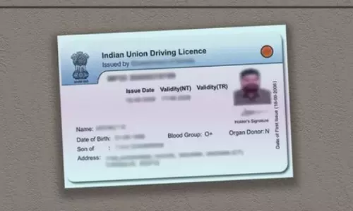 driving licence