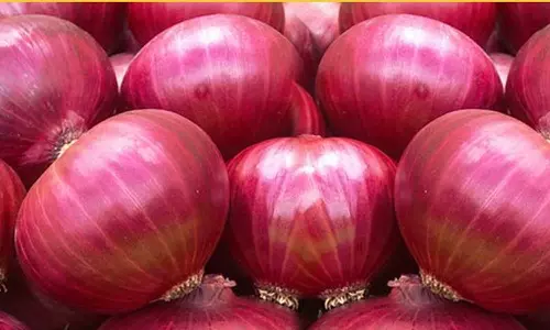 യു.എ.ഇയിലേക്ക്​ സവാള കയറ്റുമതിക്ക്​ അനുമതി നൽകി ഇന്ത്യ