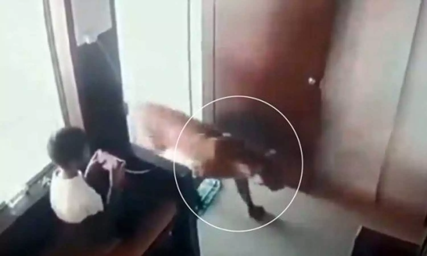 കണ്മുന്നില്‍ പുള്ളിപുലി; വാതിലടച്ച് പുലിയെ കുടുക്കി 12 കാരന്‍.. ദൃശ്യം വൈറല്‍