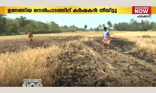 The farmer set fire to the parched field The farmer set fire to the parched field