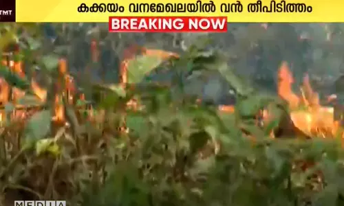 Another fire broke out in Kakkayam forest area