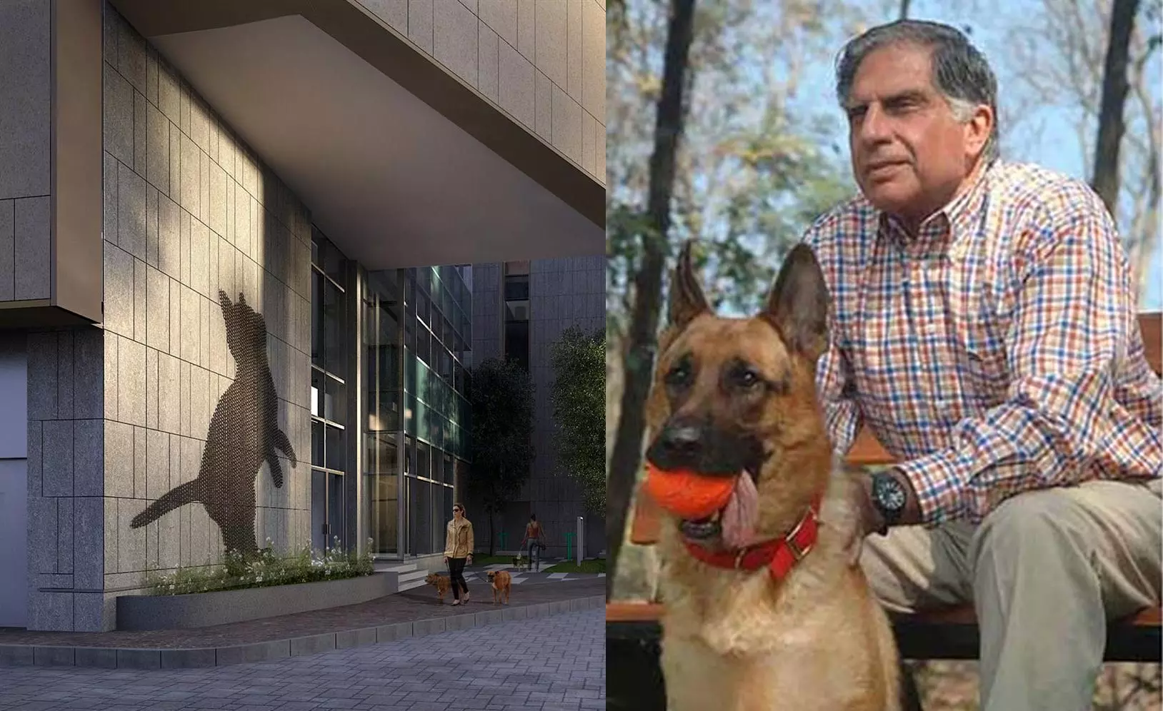 മുംബൈ ആനിമല്‍ മെഡിക്കല്‍ സെന്റര്‍ (Mumbai Animal Medical Center )