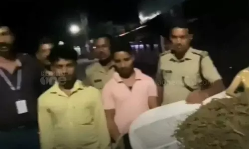 Two arrested with cannabis in Pala