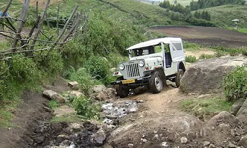 വന്യമൃഗങ്ങളുടെ ആക്രമണം; ഇടുക്കിയിൽ ജീപ്പ് സഫാരിക്ക് നിയന്ത്രണം