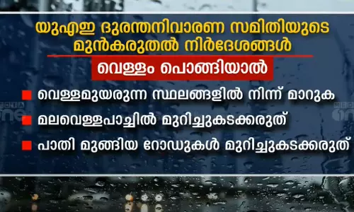 Rain falls in parts of UAE; Extreme caution