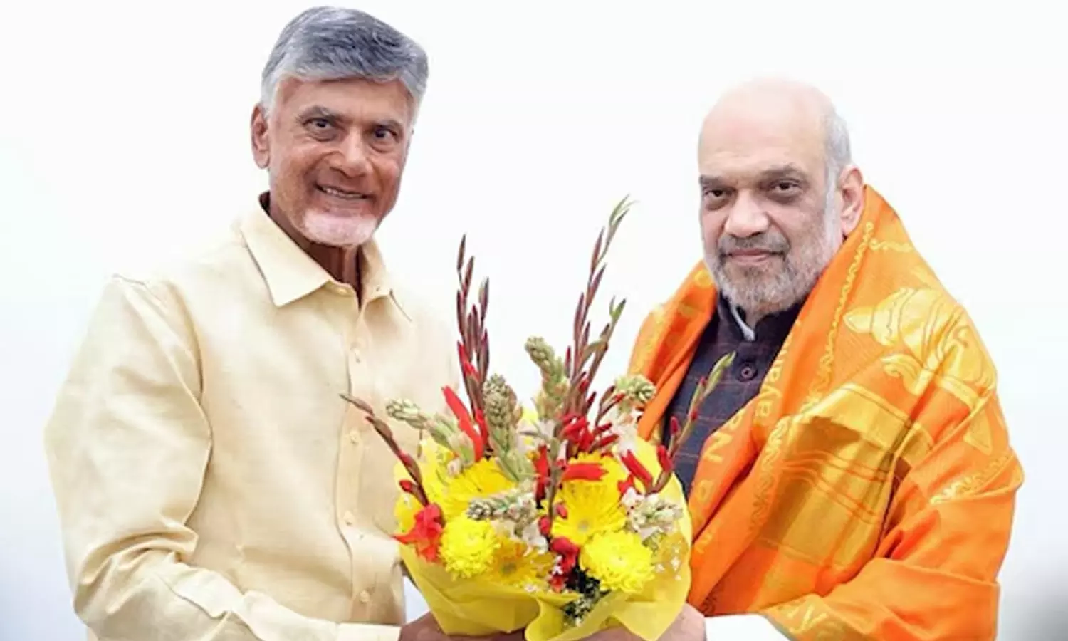 amit shah and chandra babu naidu