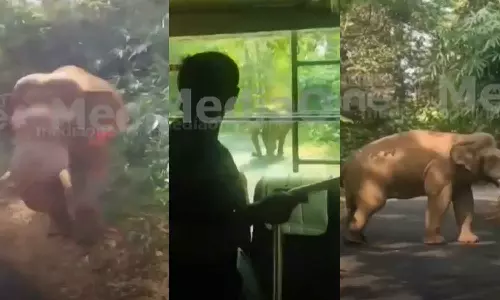 അതിരപ്പള്ളിയിൽ മറഞ്ഞിരുന്ന കാട്ടാന ബസിന് നേരെ പാഞ്ഞടുത്തു; റോ‍ഡ് തടസപ്പെടുത്തിയത് 15 മിനിറ്റോളം