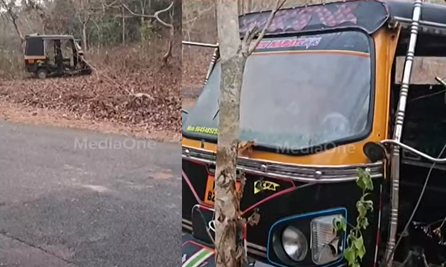 കോതമംഗലത്ത് മ്ലാവ് ഓട്ടോയിൽ ഇടിച്ച് യുവാവ് മരിച്ചു