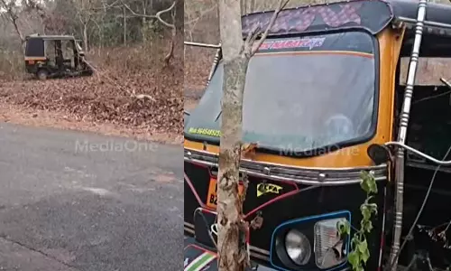 കോതമംഗലത്ത് മ്ലാവ് ഓട്ടോയിൽ ഇടിച്ച് യുവാവ് മരിച്ചു