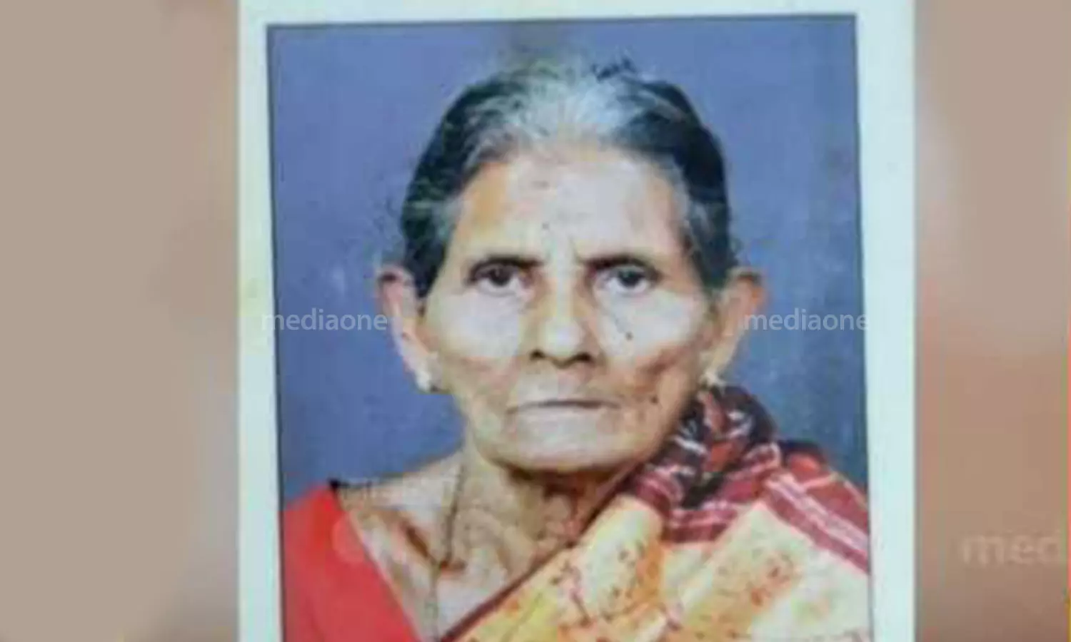 ഇടുക്കിയിൽ തേനീച്ചയുടെ കുത്തേറ്റ് വയോധികയ്ക്ക് ദാരുണാന്ത്യം