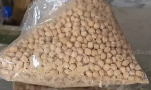 കടലയിൽ ചെള്ള്; ചാലക്കുടി സപ്ലൈകോ സ്റ്റോറിന് ഭക്ഷ്യസുരക്ഷാ വിഭാഗത്തിന്റെ നോട്ടീസ്