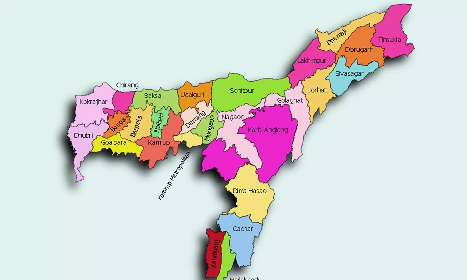 സി.എ.എ കത്തുന്ന അസമില്‍ കോൺഗ്രസ് തിരിച്ചുവരുമോ? വീണ്ടും ബി.ജെ.പി വാഴുമോ?