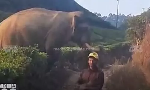 A case has been registered by the forest department against two people who took photos in front of a wild Elephant in Munnar, Idukki