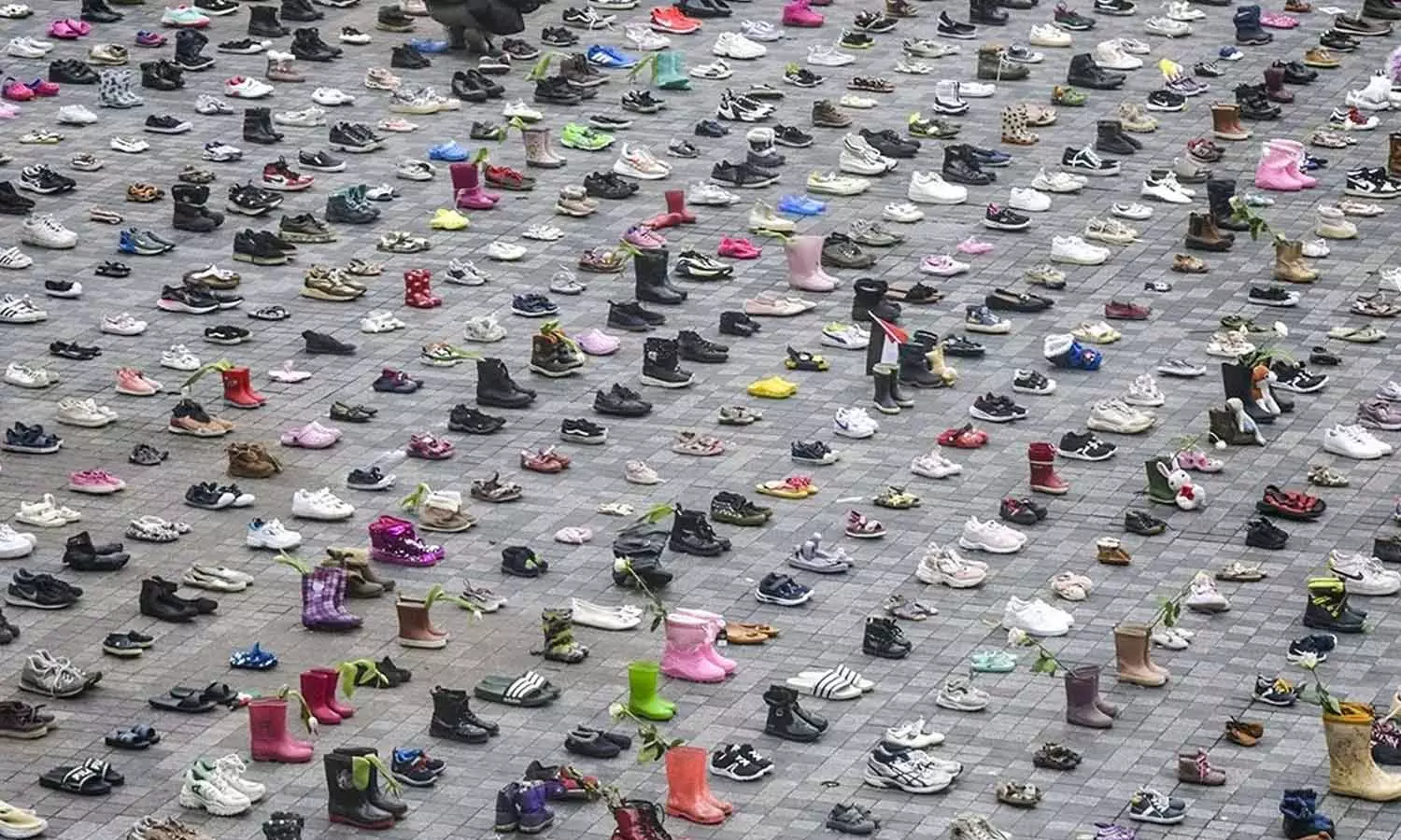 palestine shoes at Netherlands palestine shoes at Netherlands