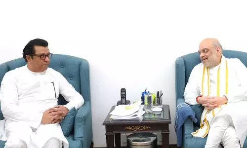 Raj Thackeray Meets Amit Shah