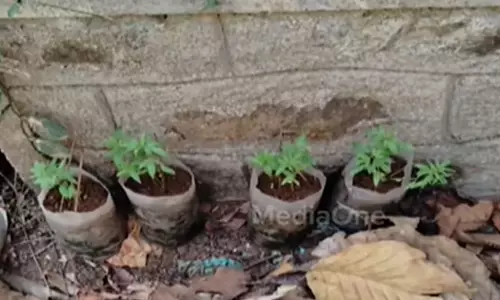 Forest department suspected the mysteriousness in Range Officer B.R. Ajayan