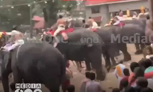 elephant attack in the Aratupuzha temple again
