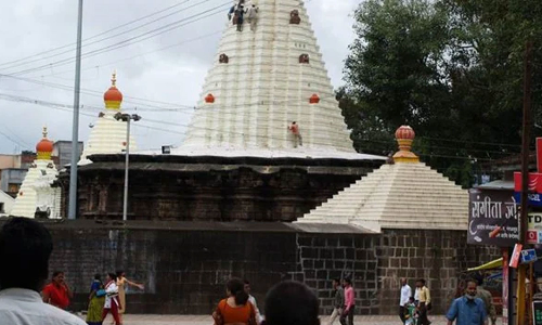 ക്ഷേത്ര പരിസരത്ത് തെരുവ് നായ്ക്കള്‍ക്ക് മാംസാഹാരം നല്‍കിയ സ്ത്രീക്കെതിരെ കേസ്