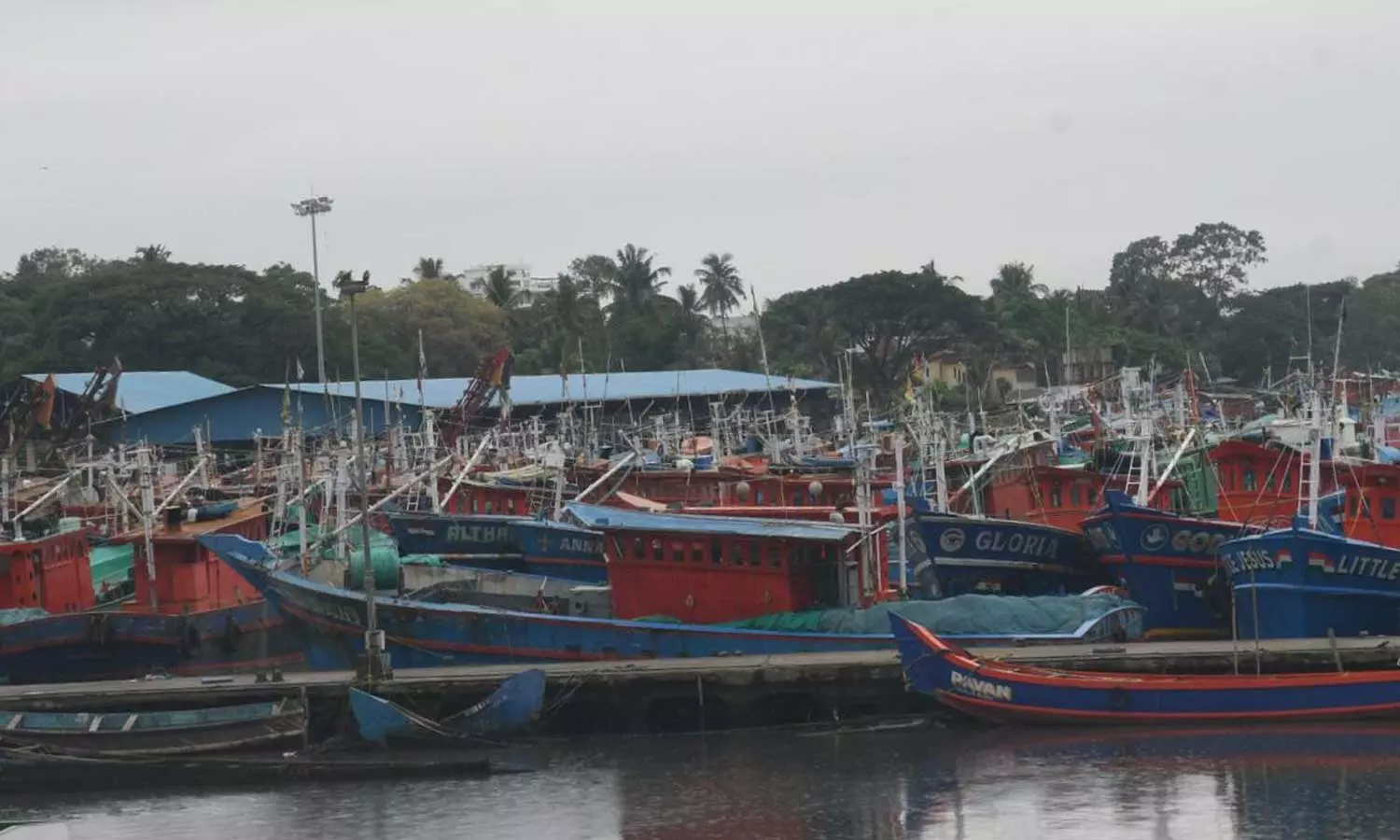 തോപ്പുംപടി ഹാർബറിൽ മത്സ്യത്തൊഴിലാളിയെ കാണാതായി തോപ്പുംപടി ഹാർബറിൽ മത്സ്യത്തൊഴിലാളിയെ കാണാതായി
