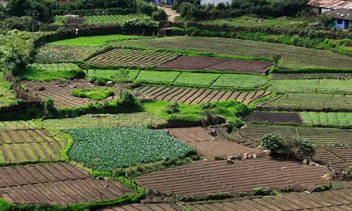 ലോക്സഭാ തെരഞ്ഞെടുപ്പ്: ഇടുക്കിയിൽ ചർച്ചയായി കാർഷിക - ഭൂ പ്രശ്നങ്ങൾ