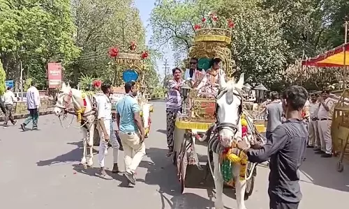Madhya Pradeshs Jabalpur independent candidates husband promises award of RS 16 lakh per voter on her victory in Lok Sabha Election 2024, Election 2024, LokSabha 2024, Shashi Salalus, Stanley Louis