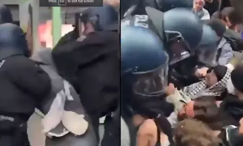 Berlin police violence against Palestinian supporters; Assault on woman