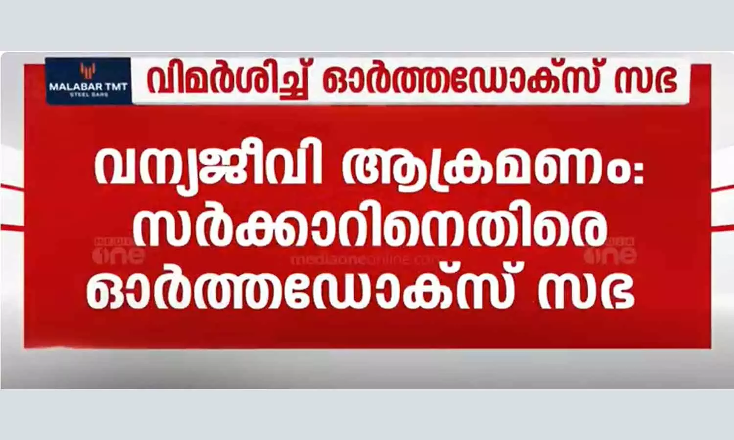 Orthodox sabha against government