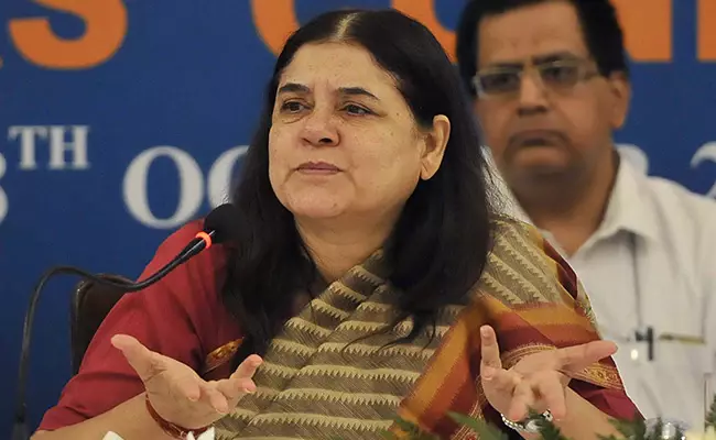 Lok Sabha Elections; Maneka Gandhi has submitted her nomination papers,uttar pradesh, loksabha election2024, latest news, ലോക്‌സഭാ തെരഞ്ഞെടുപ്പ്; മനേക ഗാന്ധി നാമനിർദേശ പത്രിക സമർപ്പിച്ചു