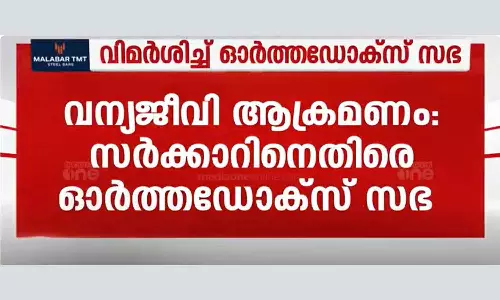 Orthodox sabha against government