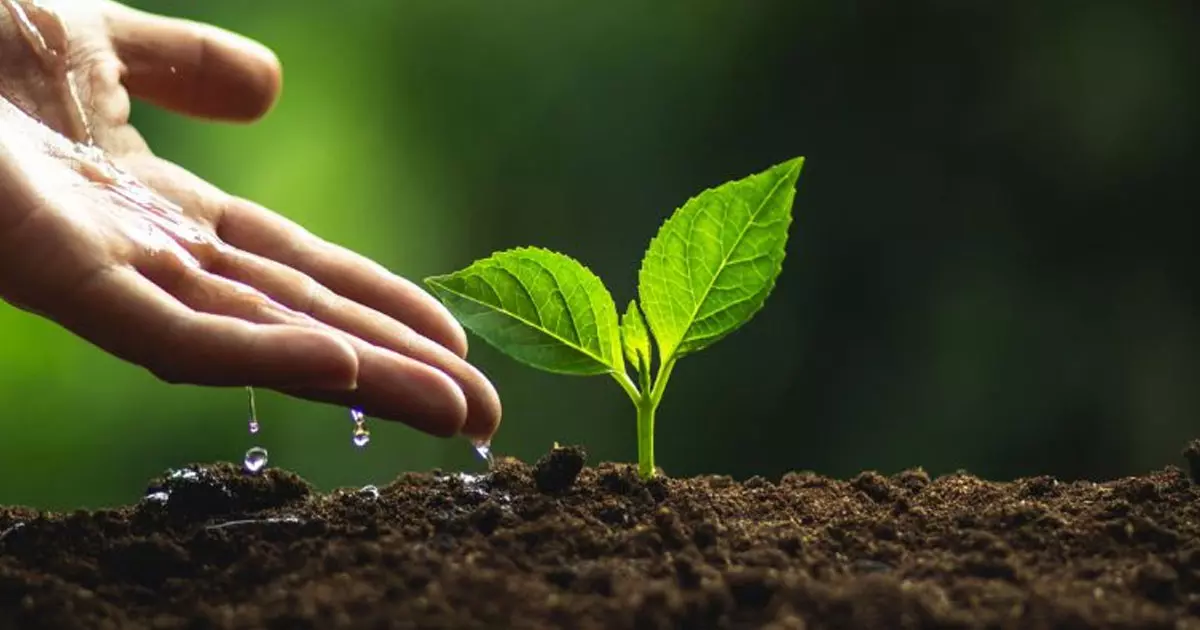 Bahrain National Initiative for Agricultural Development has announced that 150 saplings have been planted with the help of First Motors Company as part of the Ennum Haritam project. Bahrain National Initiative for Agricultural Development has announced that 150 saplings have been planted with the help of First Motors Company as part of the Ennum Haritam project.