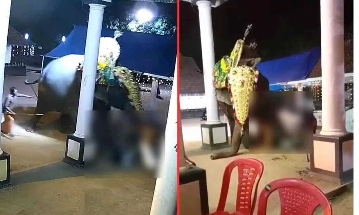 Elephant attack in Vaikkom