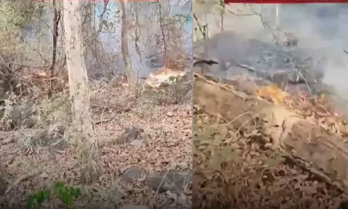 Forest fire is spreading in Nilambur forest area