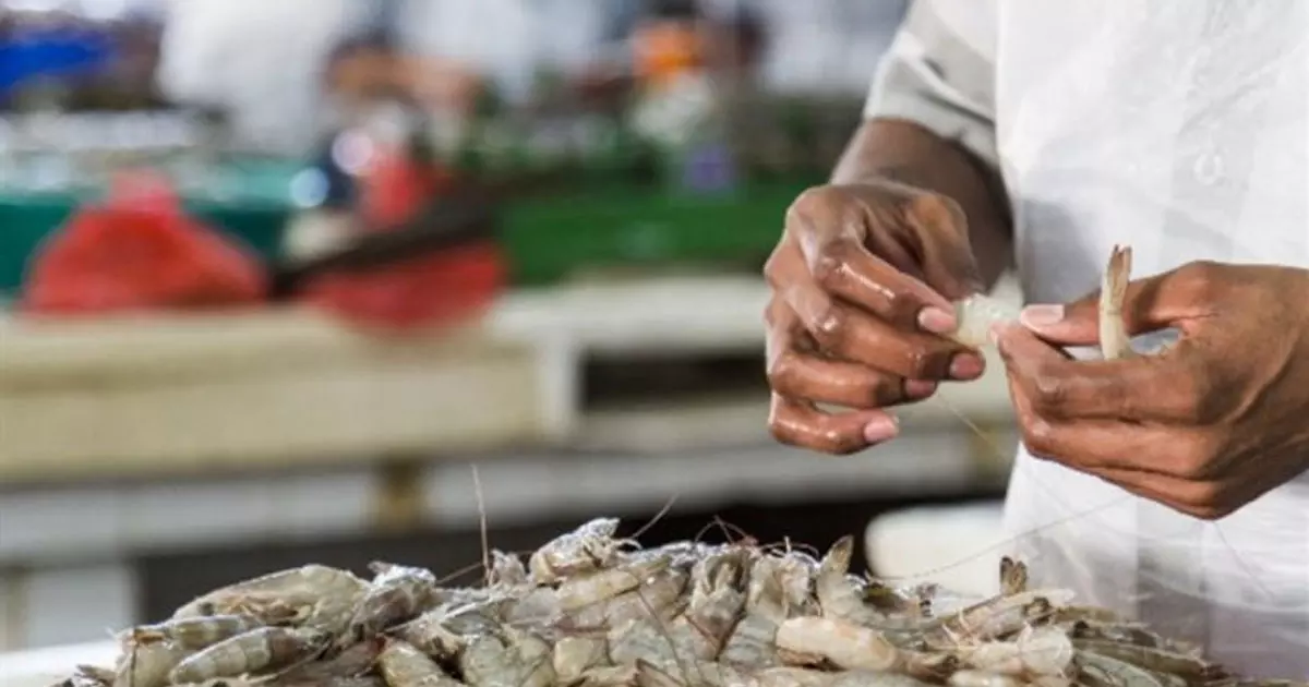 Court sentences accused in remand for catching prawns during prohibited period in Bahrain