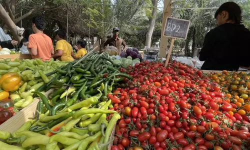 Eid: Bahrain Chamber of Commerce and Industry says food market ready to meet increased demand