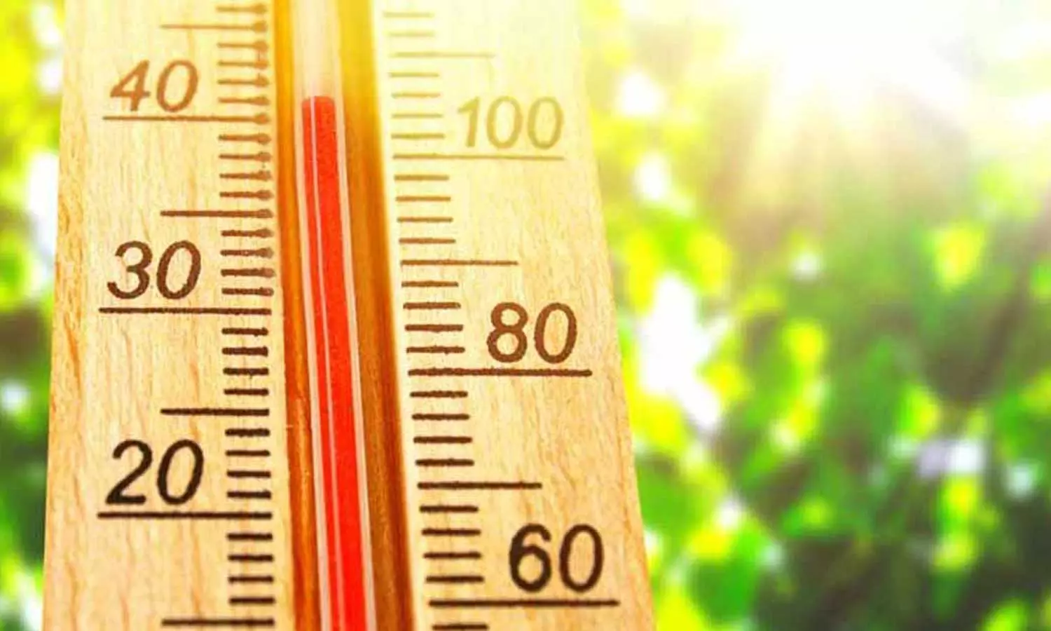 ചൂട് കൂടുന്നു; 12 ജില്ലകളിൽ യെല്ലോ അലർട്ട്; അതീവ ജാഗ്രത മുന്നറിയിപ്പുമായി ദുരന്തനിവാരണ അതോറിറ്റി ചൂട് കൂടുന്നു; 12 ജില്ലകളിൽ യെല്ലോ അലർട്ട്; അതീവ ജാഗ്രത മുന്നറിയിപ്പുമായി ദുരന്തനിവാരണ അതോറിറ്റി