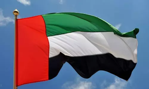 maritime corridor to Gaza; UAE announced 1.5 million dollars