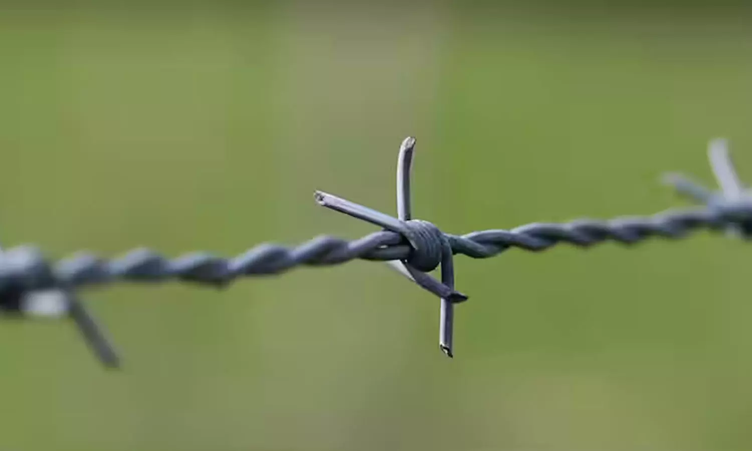 Andhra Pradesh,electrocuted ,Andhra Pradeshs Kurnool,Ugadi,latest national news,  ഉഗാഡി ഘോഷയാത്ര,ആന്ധ്രാപ്രദേശ്,വൈദ്യുതാഘാതം,