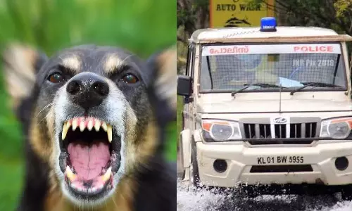 തെരുവ് നായ്ക്കളുടെ ആക്രമണം;  തൃപ്പൂണിത്തുറ ഹിൽപാലസ്  എസ് ഐക്ക് ഗുരുതര പരിക്ക്